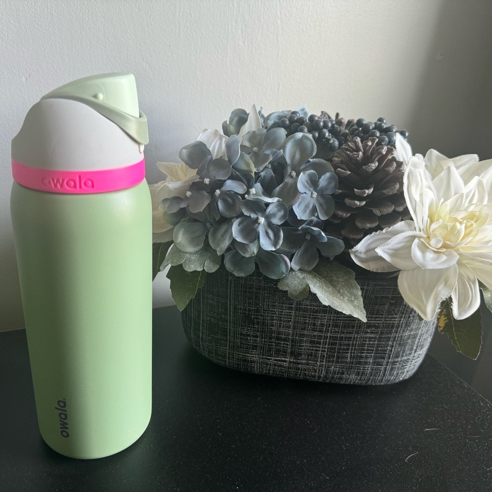 Owala FreeSip Insulated Stainless Steel Water Bottle Neo Sage